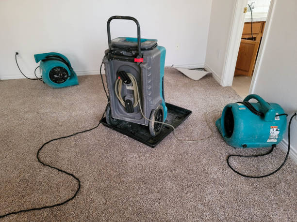 Best Water damage restoration near me  in Ashton, ID
