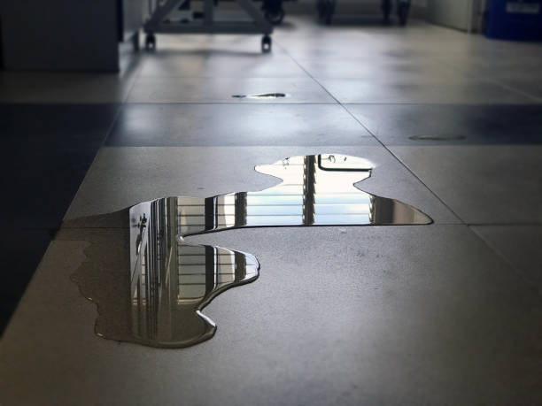 Ashton, ID Water damage restoration Company